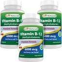 Best Naturals Vitamine B-12 als Methylcobalamine (methyl B12), 6000 mcg 120 Sublingual Tablets (120 Count (Pack of 3))