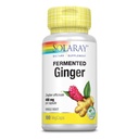 SOLARAY Fermented Ginger Root 400mg | 100 VegCaps
