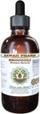 Broccoli Alcoholvrije Liquid Extract, Biologische Broccoli (Brassica Oleracea) Zaad Glycerite Hawaii Pharm Natural Kruidensupplement 2 oz