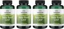 Swanson Holy Basile Leaf (Tulsi) - Soutien du stress et supplément de bien-être - (120 capsules, 800mg par portion) (4 pack)