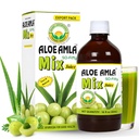 Basic Ayurveda Gooseberry + Aloe Vera Juice 