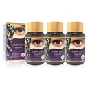 Vision Smart Supreme - Superior Eye Supplement, Premium Nutraceutical Ingredients with 210mg of Pure Anthocyanins of D3R and C3R, Protect and Enhance Eye Health Completely (3 Bottles)