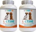 Hondenimmune Treats - Honden LYSINE Powder - Pure Powder Form - Immuun System Support - Vet Aanbevolen - l-lysine voor honden - 2 Fles (16oz 453,6 Gram)