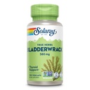 SOLARAY Bladderwrack Capsules 580 mg - Nutriënt-verpakte zeewiersupplement, hoog in jodium - Balanced Kruidenondersteuning - Veganistisch, niet-GMO, 60-dagen garantie, Lab geverifieerd - 100 porties, 100 VegCaps