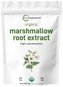 Micro Ingrediënten Biologische Marshmallow Root Powder, 8 Ounce, Filler Gratis en traditioneel gebruikt, Ondersteunt Digestieve Gastro-intestinale Gezondheid, Niet-Ir uitgestraald en Geen GGO's, Vegan vriendelijk