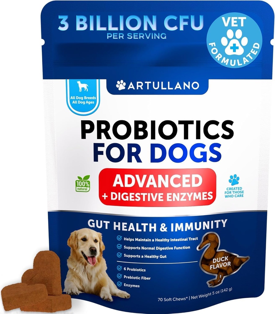 Probiotica voor honden - Ondersteuning Gut Health, Itchy Skin, Allergieën, Immuniteit, Gistbalans - Hondenprobiotica en spijsverteringsenzymen met Prebiotica - Reduce Diarree, Gas - 70 Probiotische Kauwen voor honden