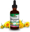 Réponse de la nature Elecampane Root 2 oz. Faible teneur en alcool organique 2000mg - Supplément à base de plantes - Non OGM et kasher - Faible teneur en alcool sans gluten 100% végétalien - 2 FL Oz