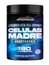 VITAMISAN Celulas Madres 180 Capsules - Stem Cell Blue Green Algen - Non GMO - Gluten Free AFA - Celula Madre Supplement - Lion