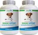 Allergie Immune Bites voor honden Lam Flavor - Hond Immune System Support - Lever en nieren Gezondheid - Krachtige ANTIOXIDANTS - Natuurlijke formule - Turkije staart Capsules Hond - 2 flessen (120 Treats)