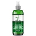 Alle natuurlijke eczeem behandeling - Psoriasis behandeling - een alles-in-één oplossing voor acne, dermatitis, Rosacea, Cold Sores, Bites, Poison Ivy - Anti-Itch Spray voor jeukende huid Relief 4oz