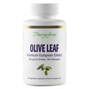 Extrait de feuille d'olive d'herbes paradisiaques des oliviers andalous espagnols, super-potent, ultra-pur, non-OGM, végétalien, sans gluten, 60 capsules végétariennes