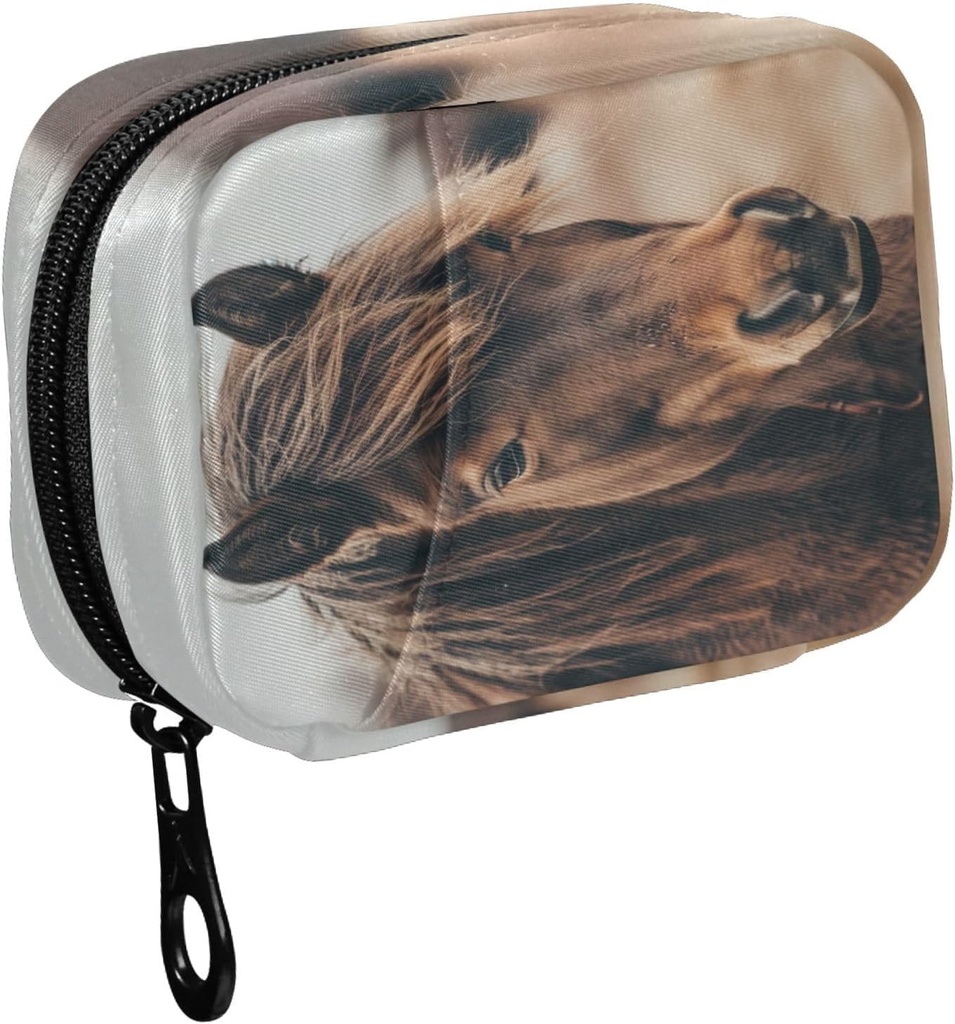 Fustyad Brown Mane Horse Close Up Pill Organizer Case met Zipper 2 keer Een dag voor vitamine en supplement, 7 dagen reisorganisator geneeskunde geval