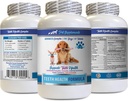 Hondentanden Enzyme - Hondentanden Gezondheid Formule - Natuurlijke Gum Care - REMOVES Plaque Build Up - FRESTENS adem - Hondenvitaminen en supplementen - 1 fles (60 Treats)