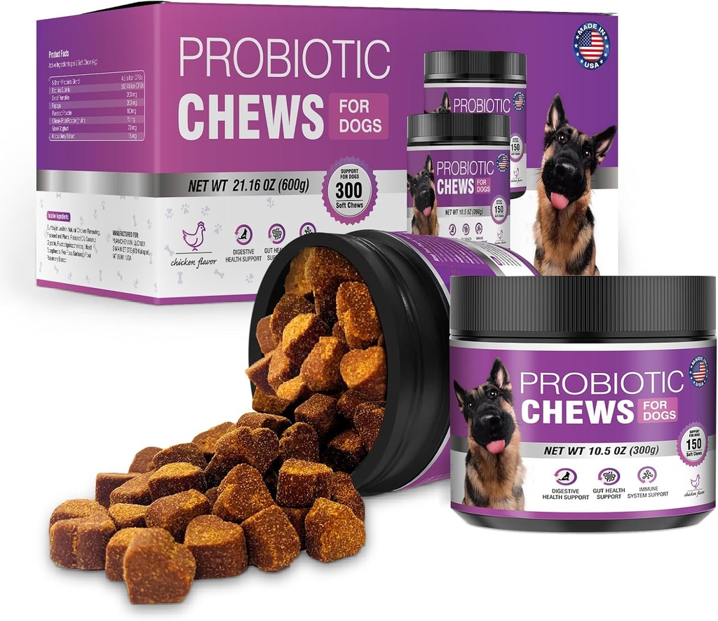 Probiotica voor honden Honden Probiotische Kauwen en spijsverteringsenzymen Prebiotische gezondheid Gut Itchy huid Probiotica jeuken diarree Kauwsupplementen Canine Pet Prebiotica 200 natuurlijke zachte kauwtabletten