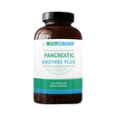 Rootcologie par Dr. Izabella Wentz (enzymes pancréatiques plus) Lipase enrobée entérique, protéase et mélange Amylase avec Bromelain (90 capsules)