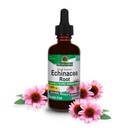 Het antwoord van de natuur Echinacea Extract Ondersteunt een gezond immuunsysteem 