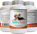 probiotic Relief for Dogs - HondenPROBIOTICS - Bad Breath and Passing Gas Solution - Oral Health - Hondenzuurophilus - 1 Fles (60 Treats)