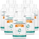 Orgabay Liposomale NAD+ Supplement 500 mg, Hoge Absorptie, Boost NAD+ met TMG 250 mg, Werkelijke NAD Plus Efficiënter dan Nicotinamide Riboside, Ondersteuning Cellulaire Energie, Gezond Verouderen . 480 Softgels