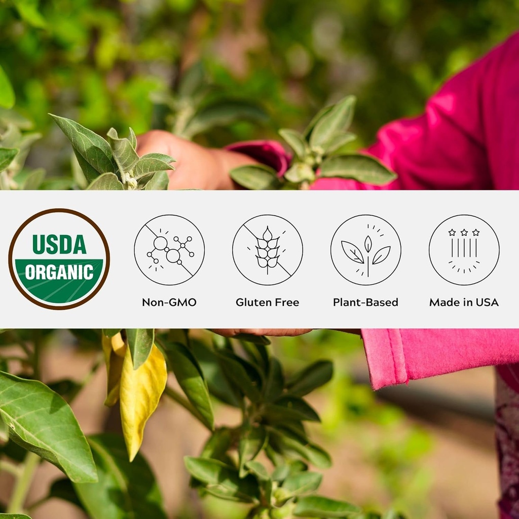 Biologische Ashwagandha poeder, non-GMO, Fair-Trade, veganistisch, glutenvrij, enkele oorsprong, gekweekt in Oregon Adaptogenic Ayurvedic Kruidensupplement in hersluitbare Jar