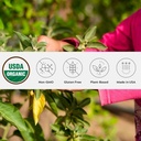 Poudre d'Ashwagandha biologique, non-OGM, commerce équitable, végétalien, sans gluten, d'origine unique, cultivé en Oregon supplément ayurvédique ayurvédique à base de plantes dans un pot refermable