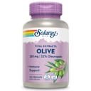 SOLARAY Olive 250mg - Olive Leaf Extract Capsules met 22% Oleuropein, Plus Citroenbalsem - Polyfenolen Supplement voor Wellness Ondersteuning - Vegan, 60-dagen garantie, Lab geverifieerd - 120 porties, 120 VegCaps