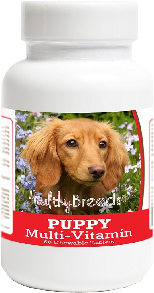 Gezonde Ras Dachshund Puppy Honden Multivitamine Tablet 60 Tel.