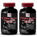 Increase sex drive - TRIBULUS TERRESTRIS EXTRACT - Tribulus terrestris extract voor energiebron, Sex drive pillen voor mannen en vrouwen, Sex drive pillen, Libido booster - 2 flessen 180 tabletten