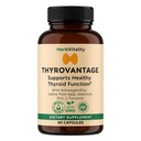 Schildklierondersteuning Supplement 