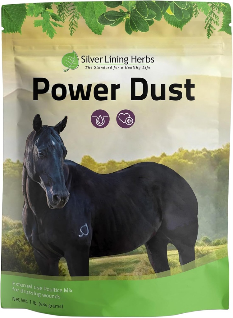 Herbes argentées 16 Poussières d'énergie - Poudre de premiers soins de Cheval Herbal ou mélange de volaille - Herbes naturelles pour chevaux - Traitement et entretien du Cheval - Premiers soins d'équidés naturels - Sac de 1 lb