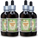 Groene thee (Camellia Sinensis) Glyceriet, Organische gedroogde bladeren Alcoholvrije vloeibare extract (Grote naam: HerbalTerra, Trots gemaakt in USA) 4x4 f.oz (4x120 ml)