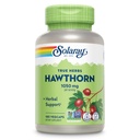 SOLARAY Hawthorn Berry Capsules 1050 mg - Soutien aux herbes apaisantes - Hawthorne Berry Supplément pour le soutien général au mieux-être - Berry entier, végétalien, non-OGM, garantie de 60 jours, 90 portions, 180 VegCaps