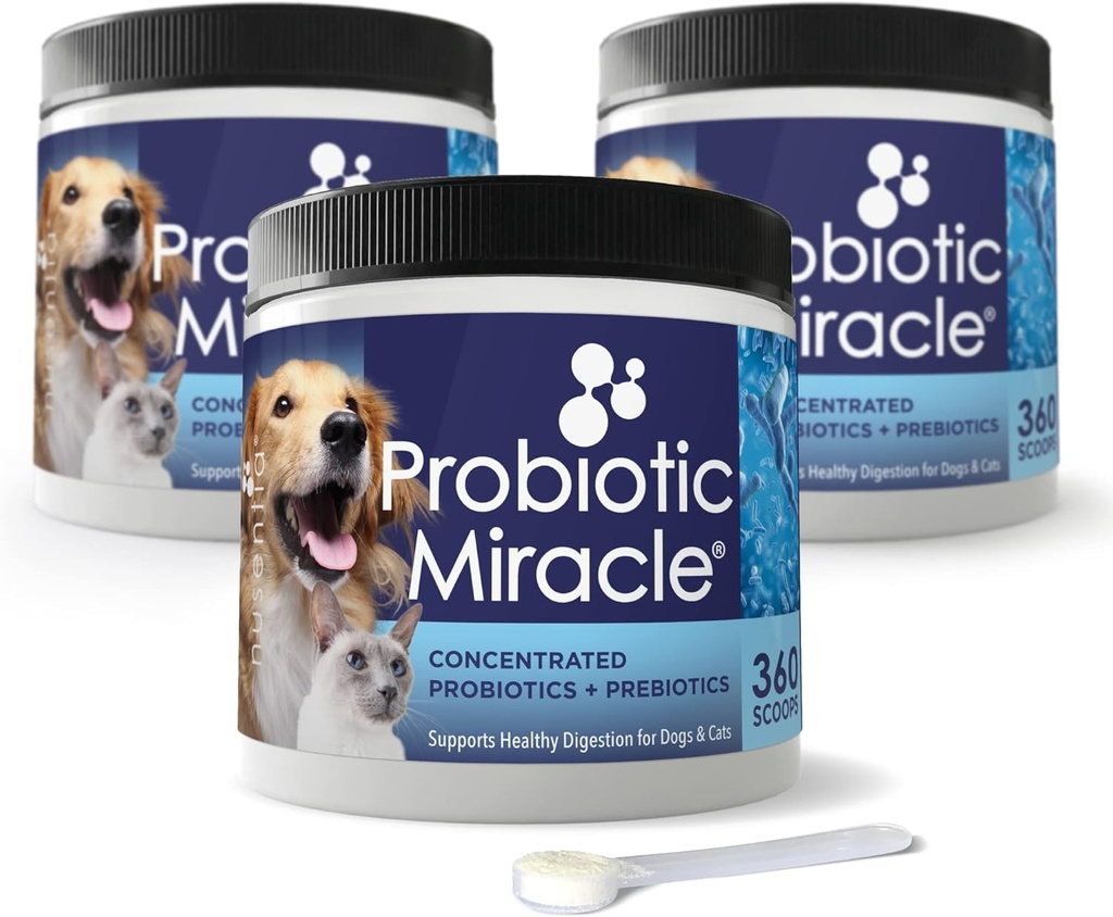 NUSENTIA Probiotic Miracle voor honden en katten (3 bundel) Bespaar $13. Elimineer diarree, constipatie, losgelaten ontlasting, Gist en meer. Gemaakt in Amerika. GMP gecertificeerd