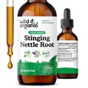 Wild & Organic Stinging Nettle Root Extract Drops - Urinary Support - Stinging Nettle Supplement - Add to Tea Herb - Liquid Urtica Dioica Supplement - Vegan, Sugar & Alcohol-Free Tincture - 2 fl oz