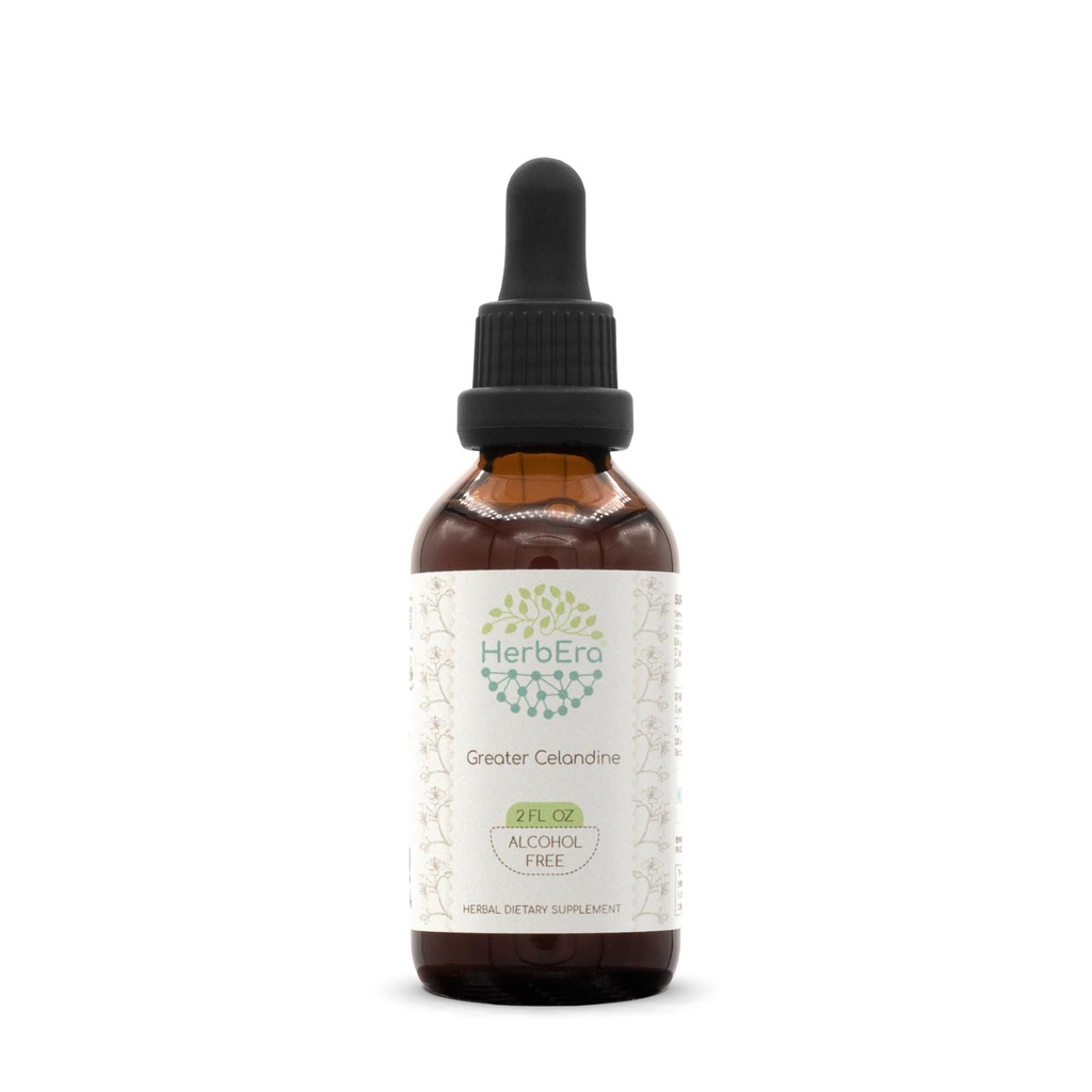 HerbEra Greater Celandine B60 Alcoholvrije kruidenextract Tinctuur, geconcentreerde vloeibare druppels Natural Greater Celandine (Chelidonium Majus) Gedroogde plant (2 oz)