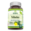 Kruidengeheimen Tribulus 630 Mg 120 Veggie Capsules Supplement 