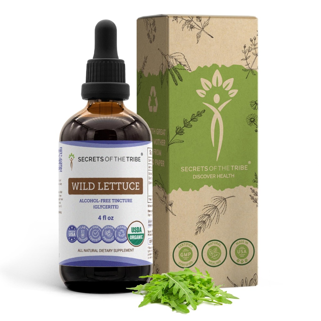 Secrets de la tribu de la teinture de laitue sauvage Extrait sans alcool, USDA Laitue sauvage biologique (Lactuca virosa) Herbe séchée (4 FL OZ)