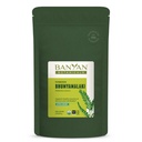 Banyan Botanicals Bhumyamalaki Powder 