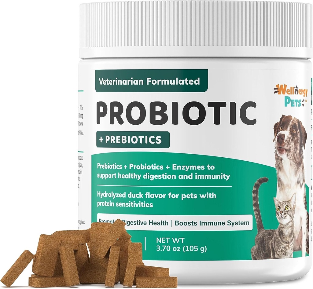 Wellnergy Daily Probiotics & Prebiotics Soft Chew for Dogs & Cats - Soutien digestif pour la diarrhée, la constipation, l'estomac, l'indigestion et le gaz - Aide la digestion, la peau allergique et la santé immunitaire 70ct