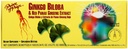 Prins van de vrede Ginkgo Biloba&Red Pan Gns 30X10 Cc