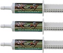 High Endurance Oral Paste Horse Supplement voor paarden. Elektrolyten, vitamines en mineralen om dehydratie te helpen voorkomen. Drie Easy-Dose spuiten van 60 ml. Cox Veterinary Lab, gemaakt in de VS.