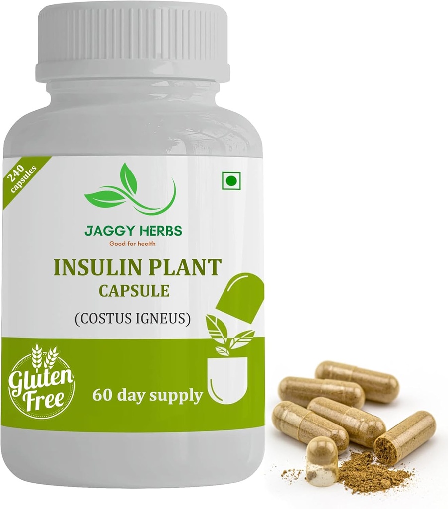 Generieke JAGGY Premium Insuline Plant Capsules (Costus Igneus) Natural Supplement 240 Veggie Capsules (60 dagen bevoorrading) Insuline Plant