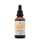 Dandelion Root Alcoholvrije natuurlijke Tinctuur Extract, Immuun systeem Booster, Liquid Drops Gemaakt van 100% Dandelion (Taraxacum officinale) Gedroogde Wortel (2 fl oz)