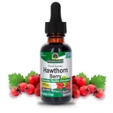Het antwoord van de natuur Hawthorn Bessen 