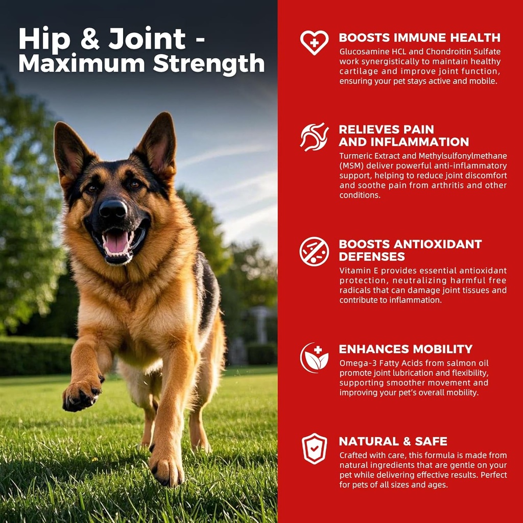 Hond Hip en gezamenlijke supplement - Hond pijn verlichting Anti ontsteking met Glucosamine, Chondroitin, MSM, Kurkuma, Vitamine E, Omega 3 - Treats Hip Dysplasia, Artritis - Alle grote kleine middelgrote ras