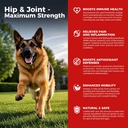 Hond Hip en gezamenlijke supplement - Hond pijn verlichting Anti ontsteking met Glucosamine, Chondroitin, MSM, Kurkuma, Vitamine E, Omega 3 - Treats Hip Dysplasia, Artritis - Alle grote kleine middelgrote ras