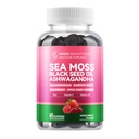 Sea Moss 4000mg Gummies met Ashwagandha, Vlierbessen, Apple Cider Vinegar, Bladderwrack, Burdock Root 