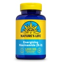 Nature vie énergétique Niacinamide, vitamine B3 1000mg - haute puissance, sans supplément de Niacin Flush - fonction nerveuse, énergie et soutien au métabolisme - garantie de 60 jours - 100 portions, 100 comprimés