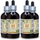 Xian Mao, Curculigo (Curculigo Orchioides) Tinctuur, Organisch gedroogd wortelpoeder Liquid Extract (Grote naam: HerbalTerra, Trots gemaakt in USA) 4x4 fl.oz (4x120 ml)