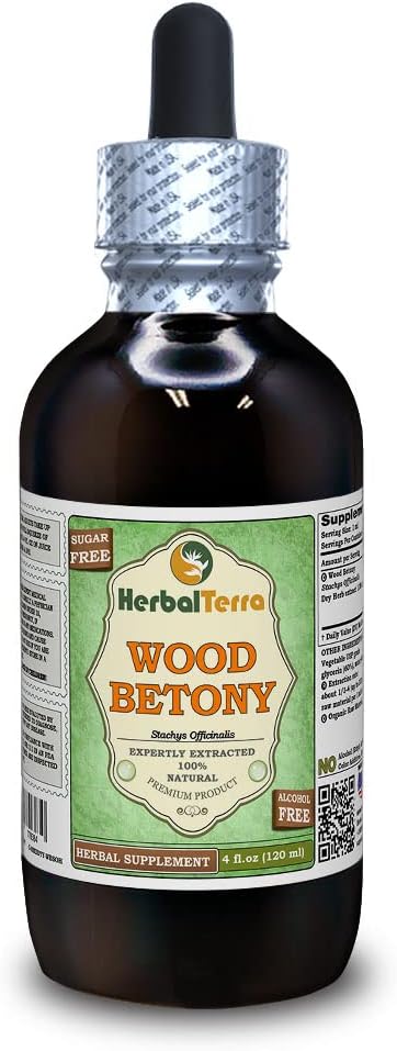 Bois de Betony (Stachys Officinalis) Glycérite, extrait liquide d'alcool séché à l'herbe biologique (Nom de marque: HerbalTerra, Fièrement fabriqué aux États-Unis) 4 fl.oz (120 ml)