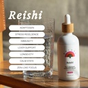 Rainbo - Reishi Mushroom Tinctuur - Alcoholvrij - Dual Extract Mushroom Supplement - Immune Support, Mood, Slaap, Liquid Reishi Supplement, Vegan, Niet GGO, 3.4 floz